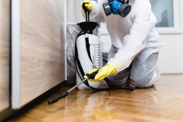 Professional Pest Control in Windsor, VA