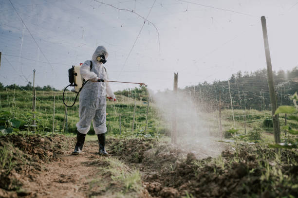 Best Local Pest Control Services  in Windsor, VA