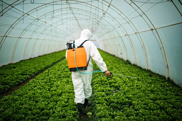 Best Pest Prevention Services  in Windsor, VA