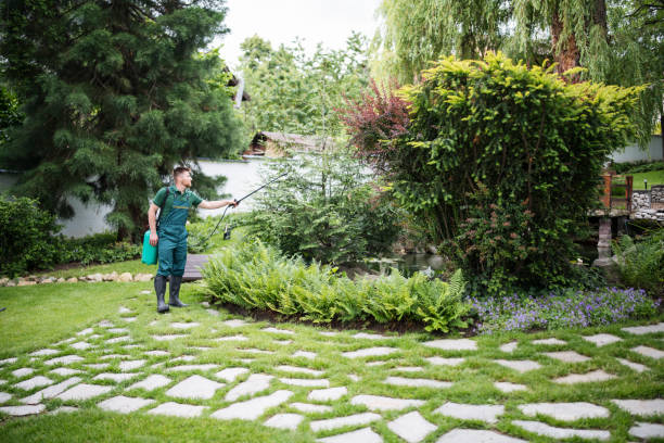 Best Affordable Pest Control Services  in Windsor, VA