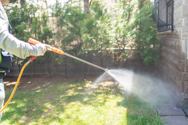 Bird Control in Windsor, VA