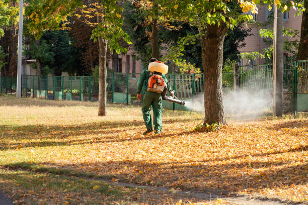 Best Pest Prevention Services  in Windsor, VA