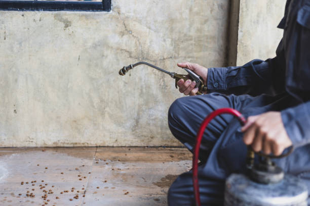 Best Exterminator Services  in Windsor, VA